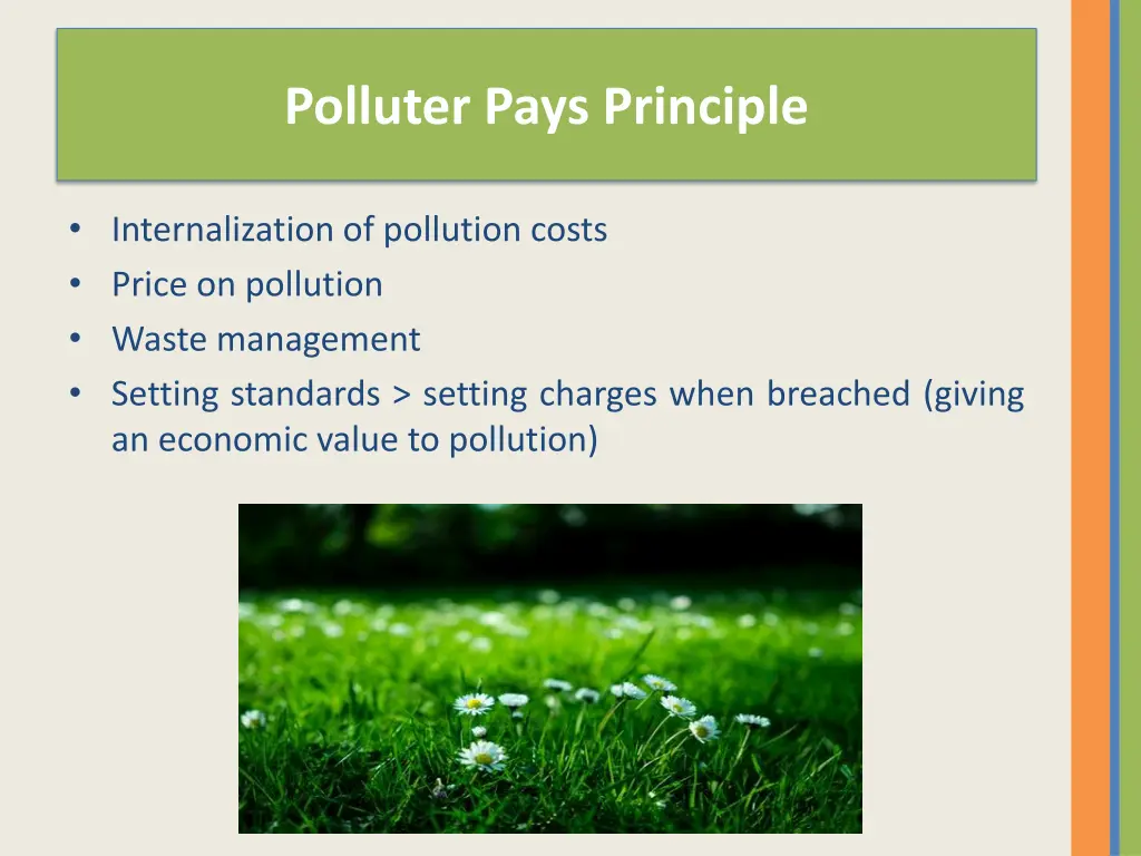 polluter pays principle