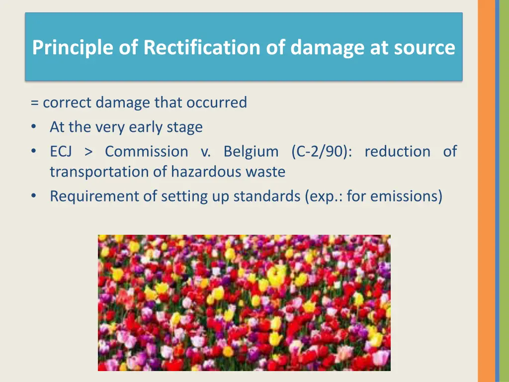 principle of rectification of damage at source