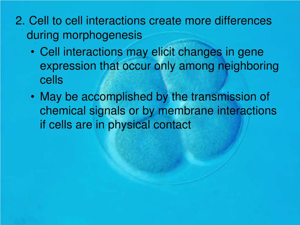 2 cell to cell interactions create more