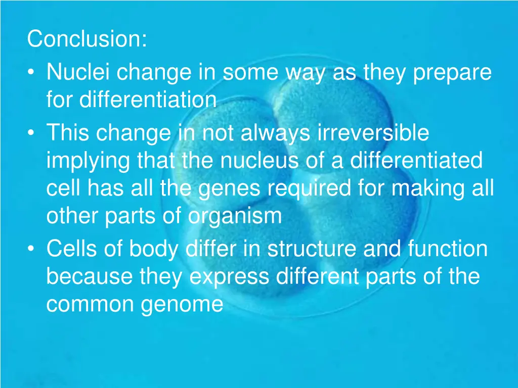 conclusion nuclei change in some way as they