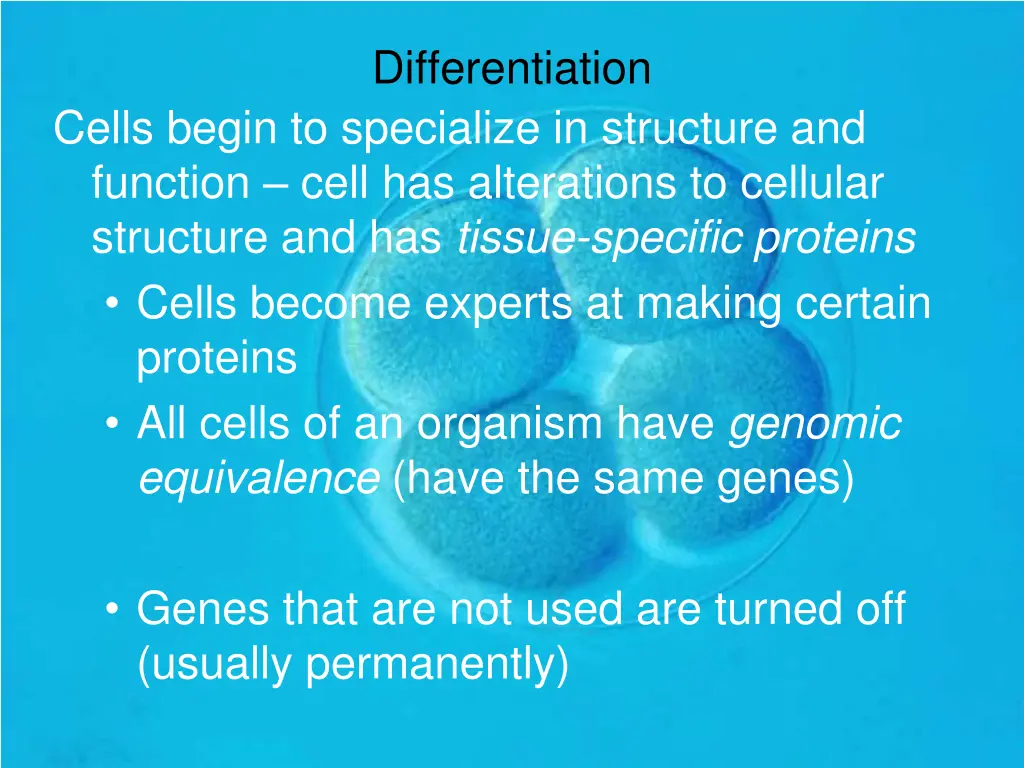 differentiation