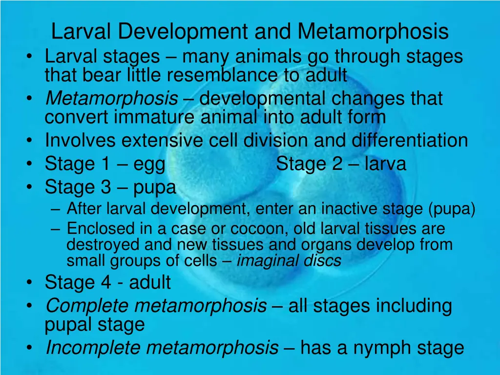 larval development and metamorphosis larval