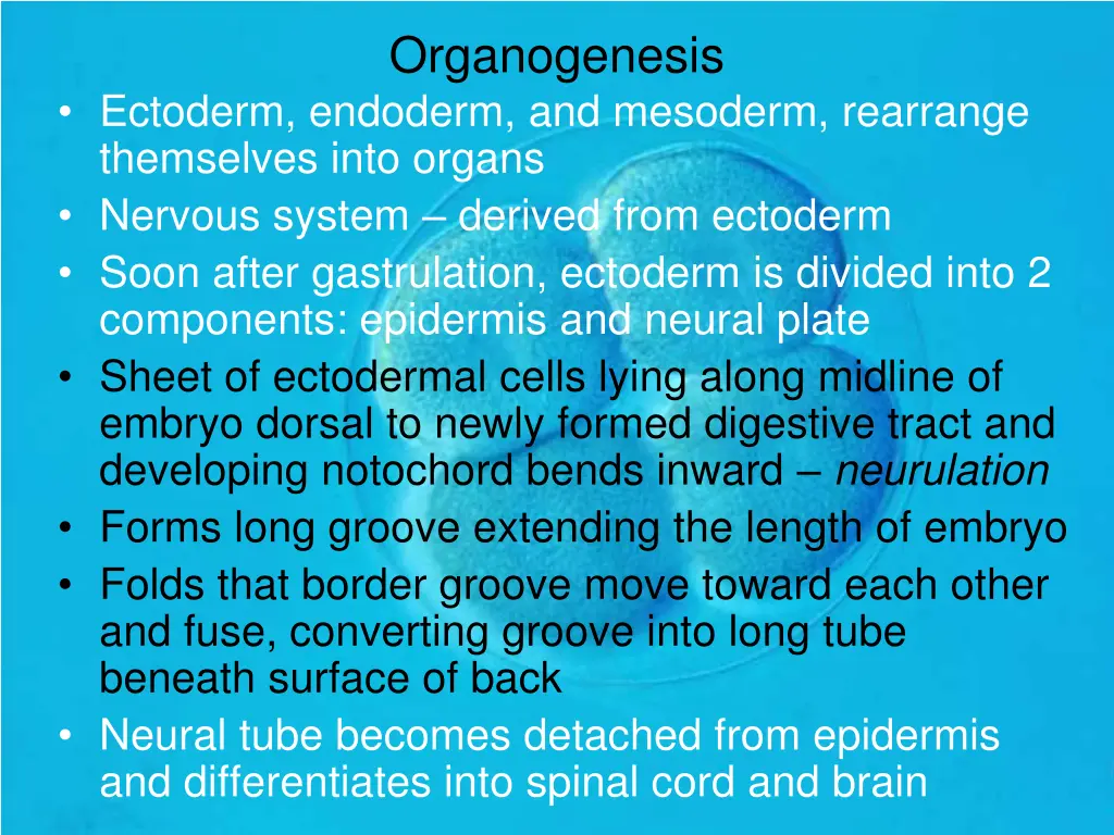 organogenesis