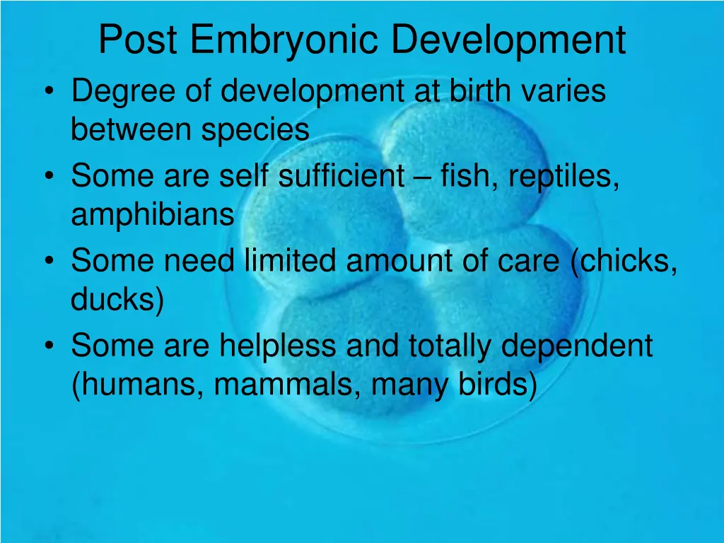 post embryonic development degree of development