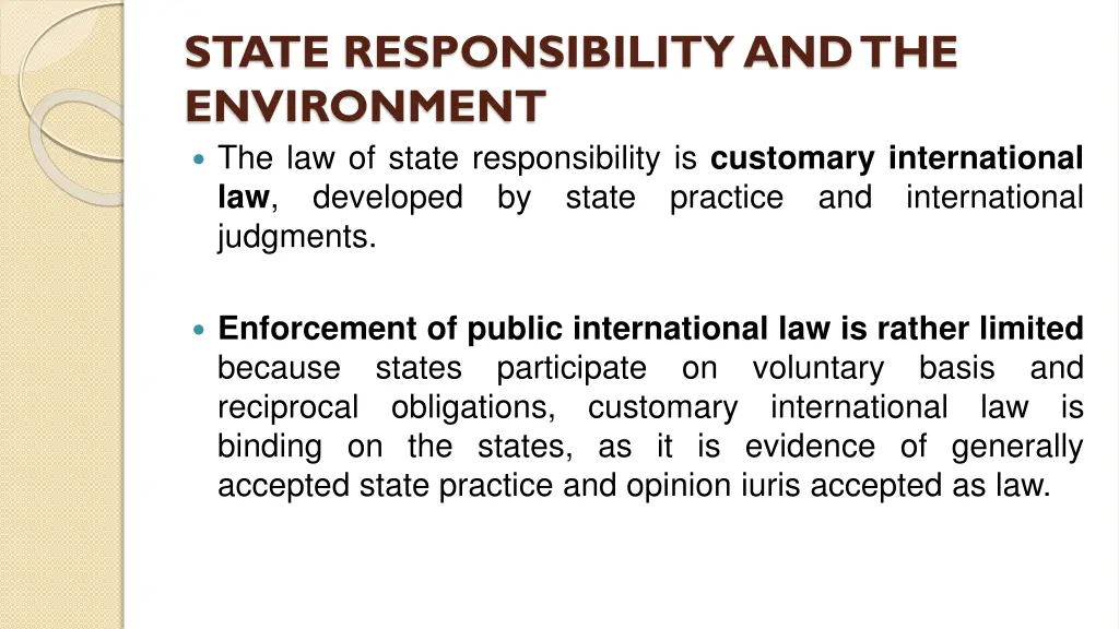 state responsibility and the environment