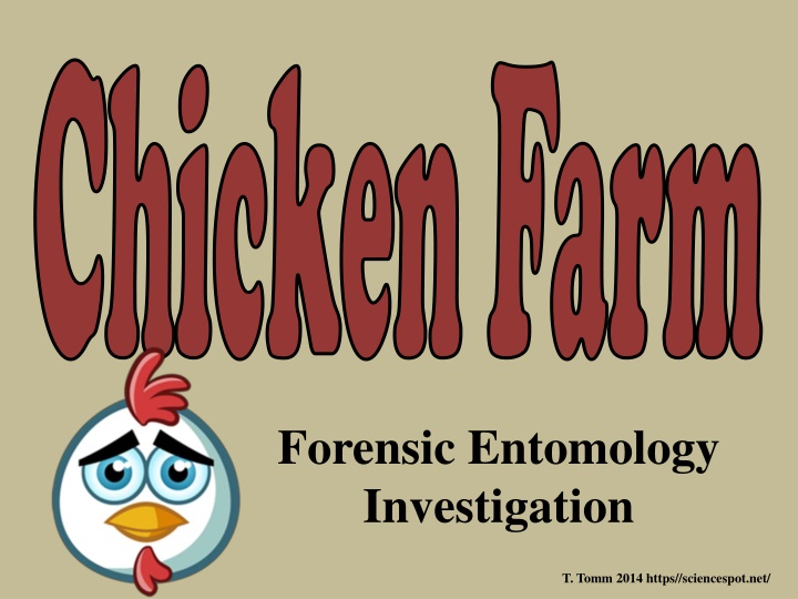 chicken farm