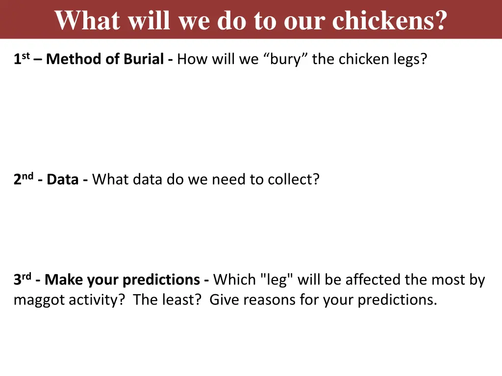 what will we do to our chickens