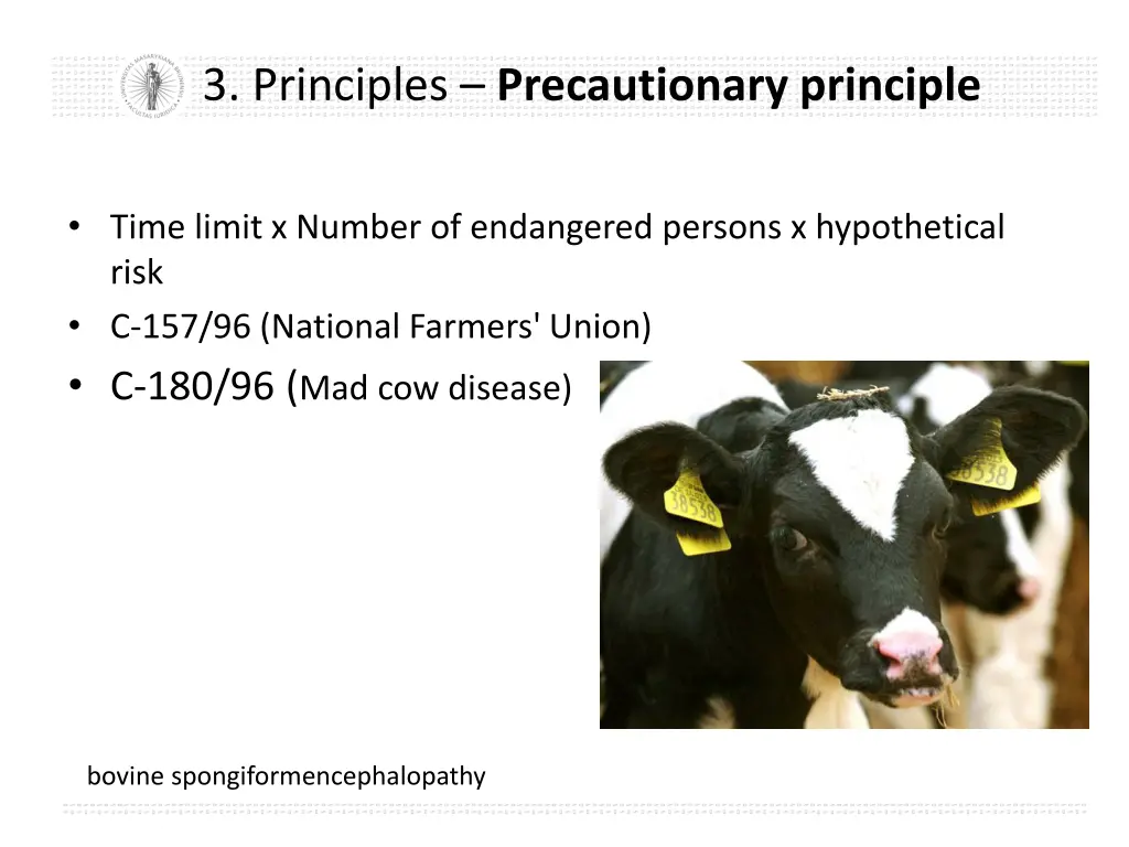 3 principles precautionary principle 3