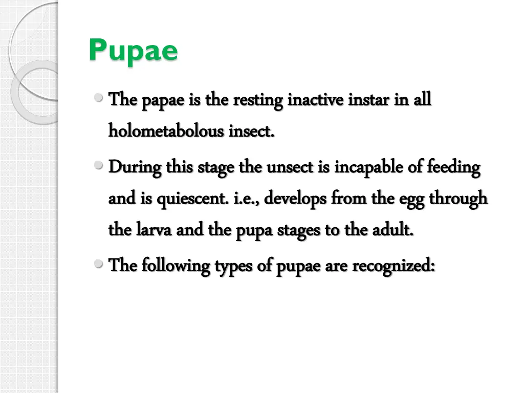 pupae