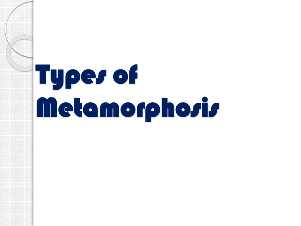 types of types of metamorphosis metamorphosis