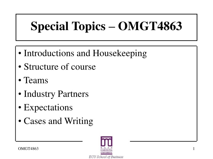 special topics omgt4863