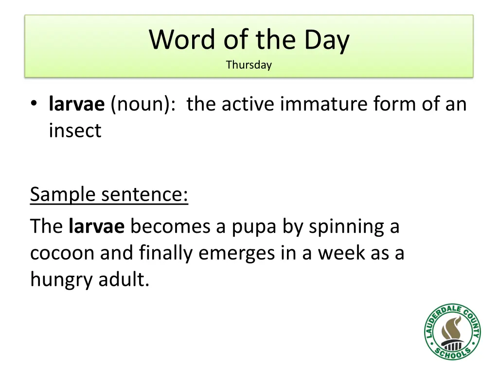 word of the day thursday