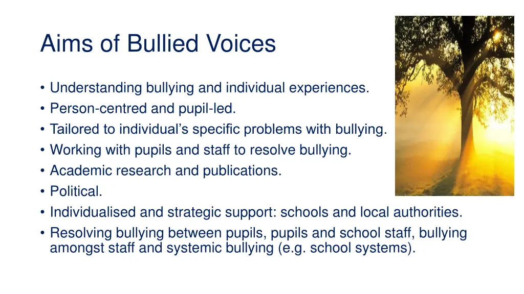 aims of bullied voices