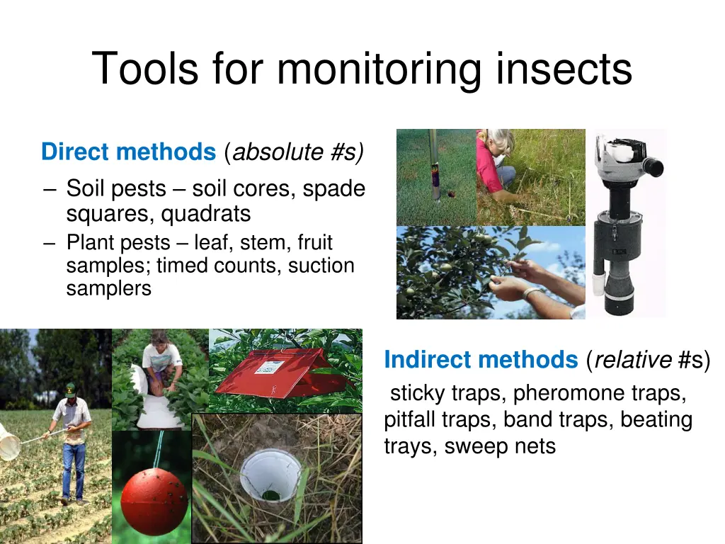 tools for monitoring insects