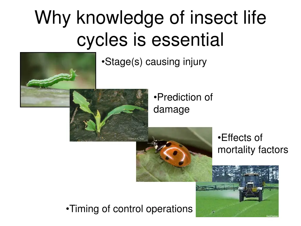 why knowledge of insect life cycles is essential