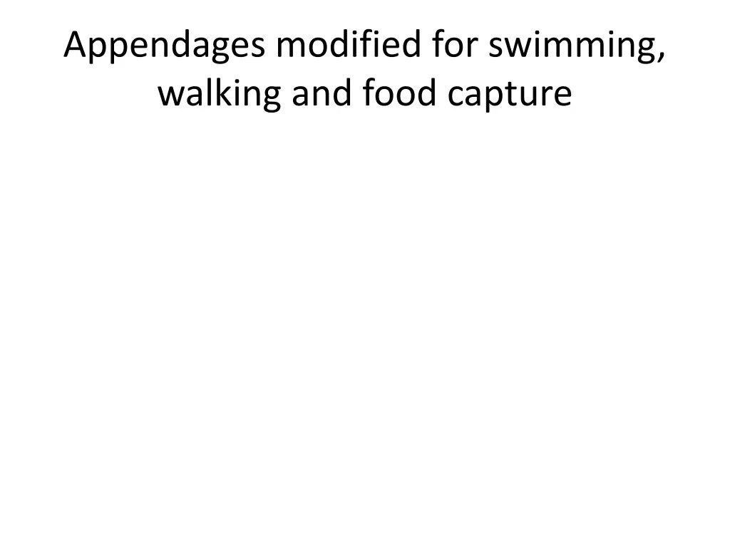 appendages modified for swimming walking and food