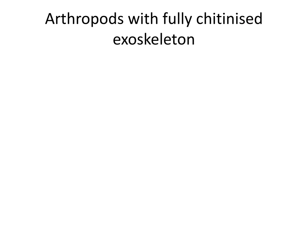 arthropods with fully chitinised exoskeleton