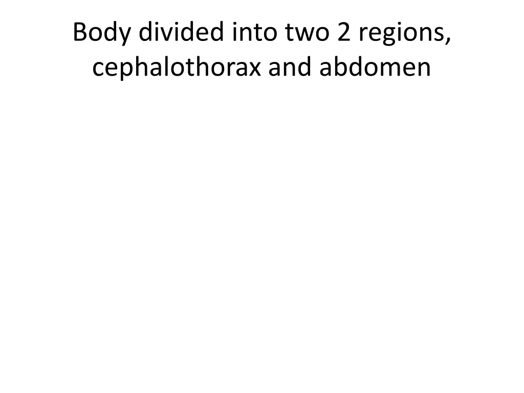 body divided into two 2 regions cephalothorax