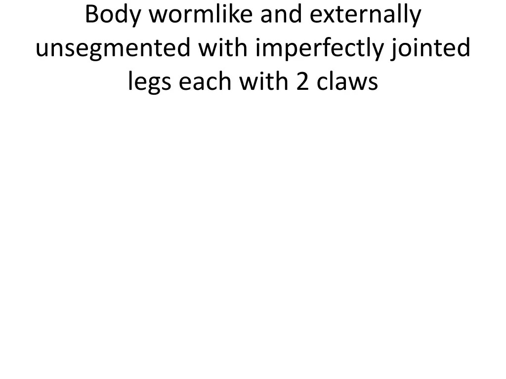 body wormlike and externally unsegmented with