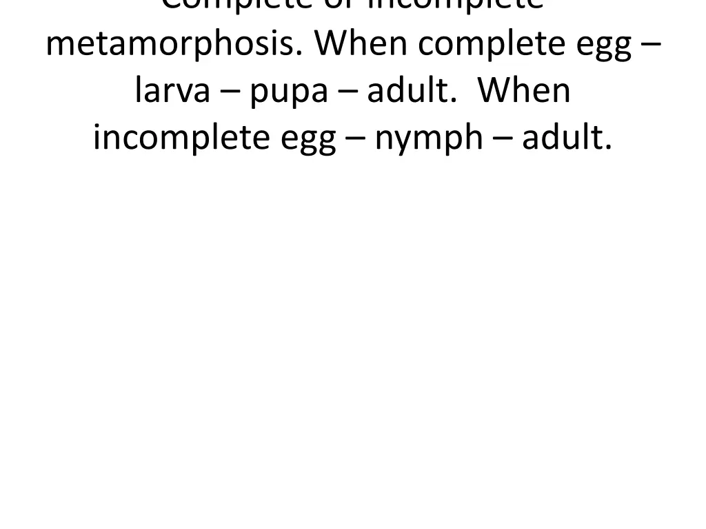 complete or incomplete metamorphosis when