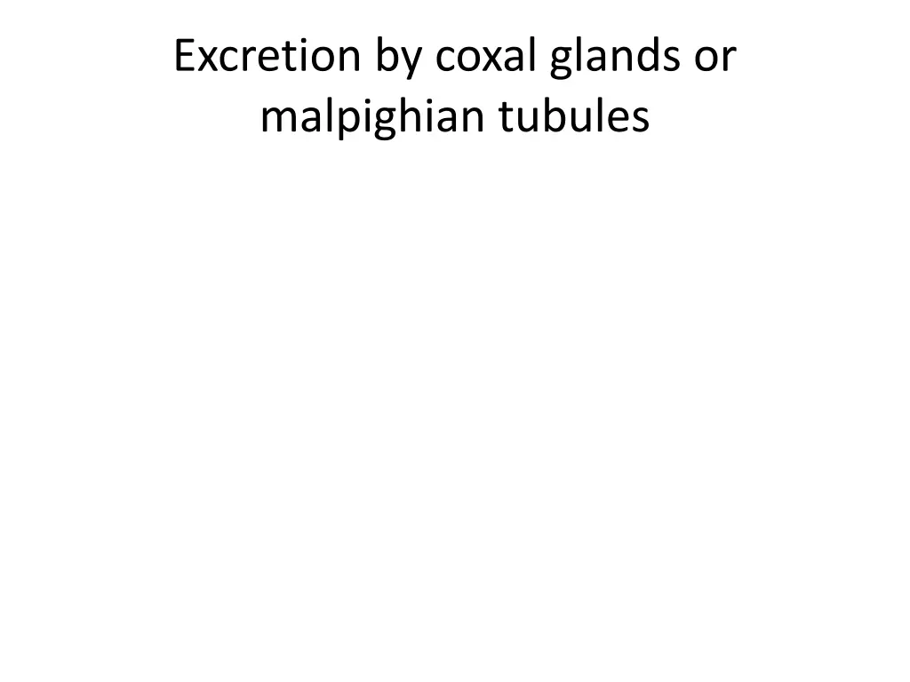 excretion by coxal glands or malpighian tubules