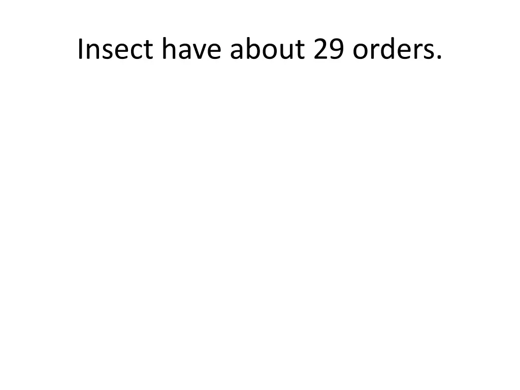 insect have about 29 orders