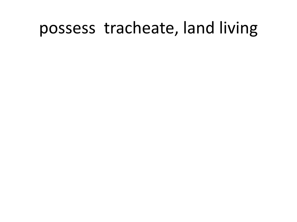 possess tracheate land living