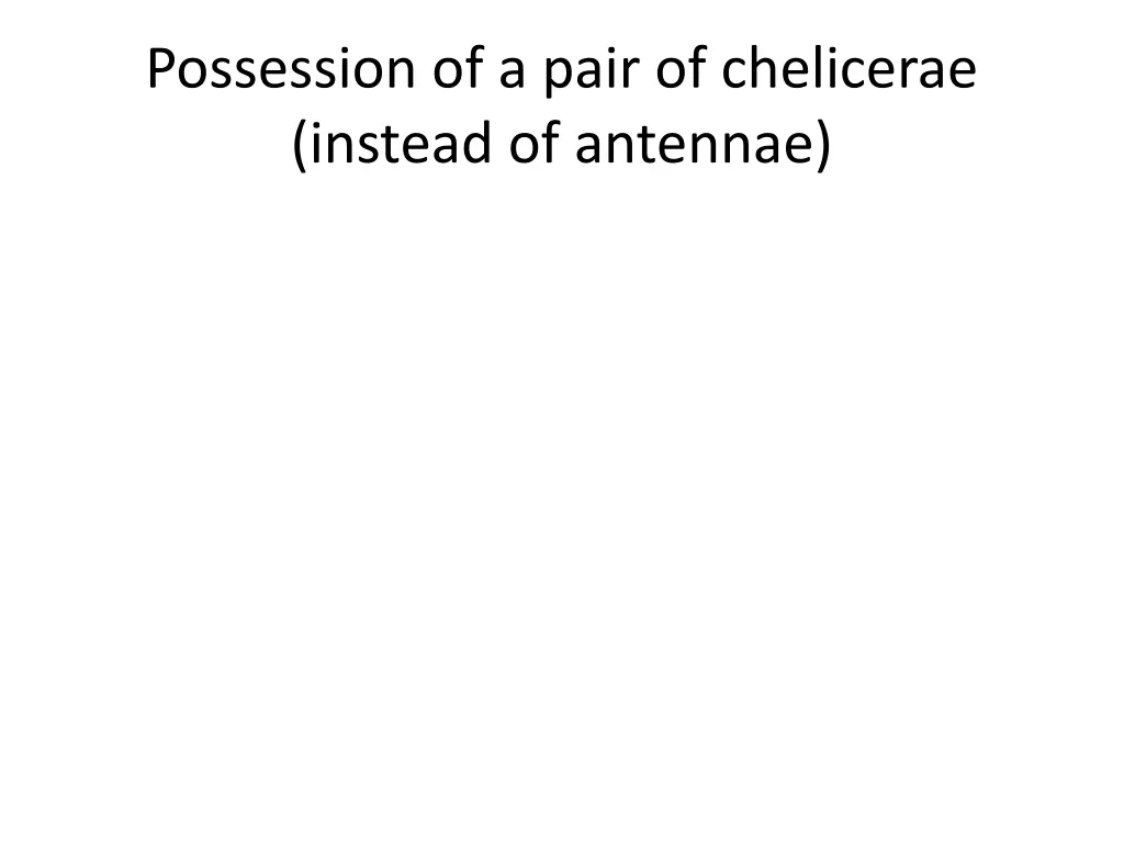 possession of a pair of chelicerae instead