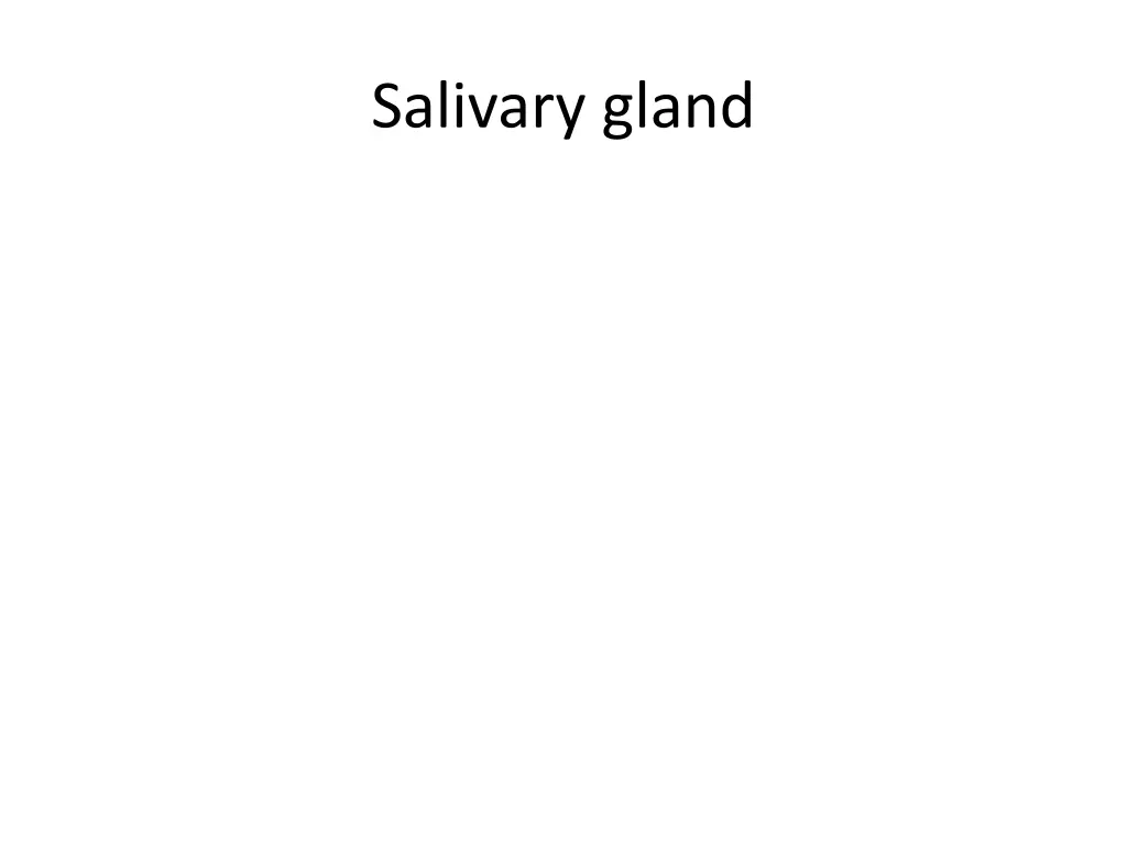 salivary gland