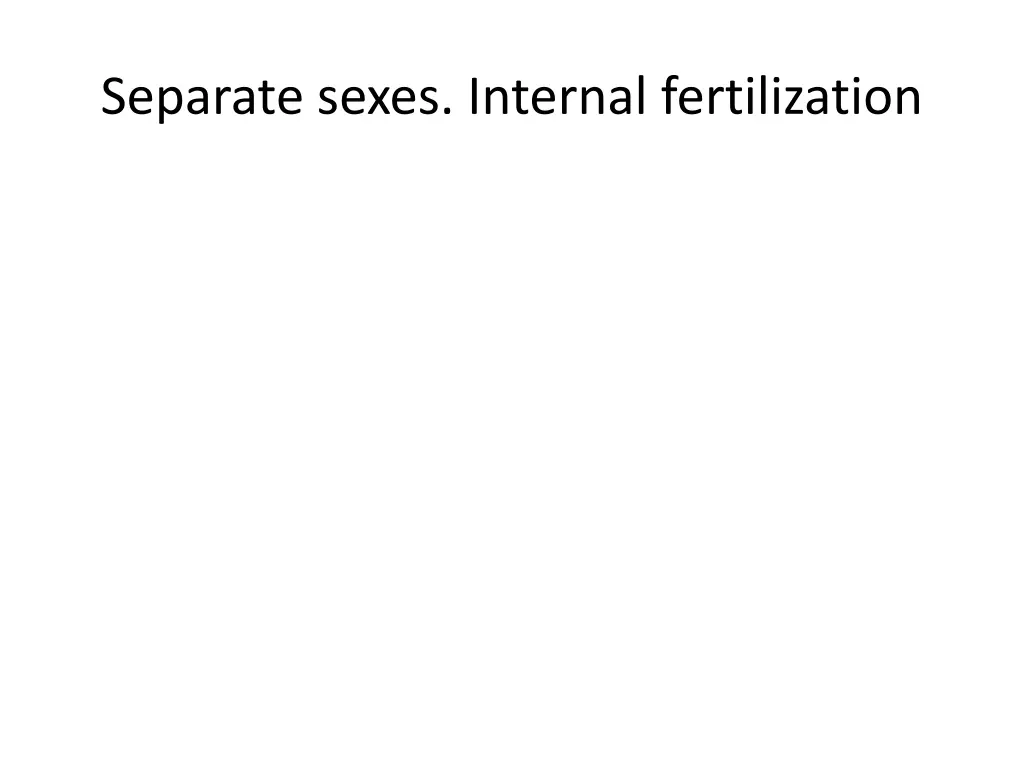 separate sexes internal fertilization