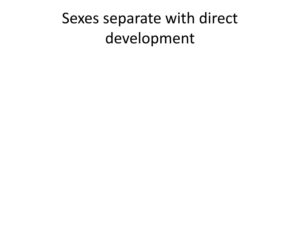 sexes separate with direct development