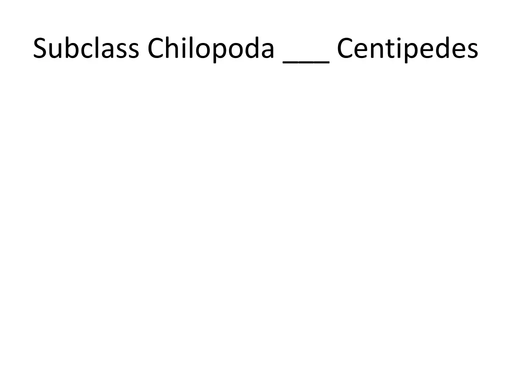 subclass chilopoda centipedes