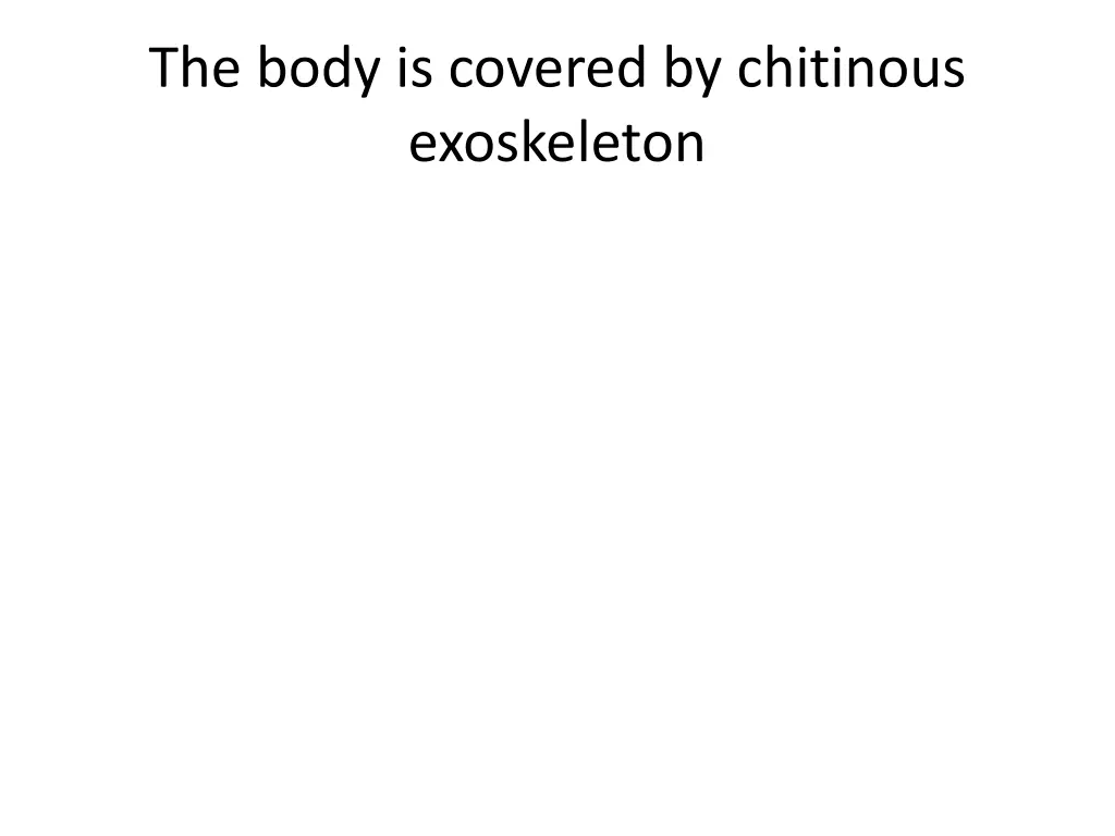 the body is covered by chitinous exoskeleton