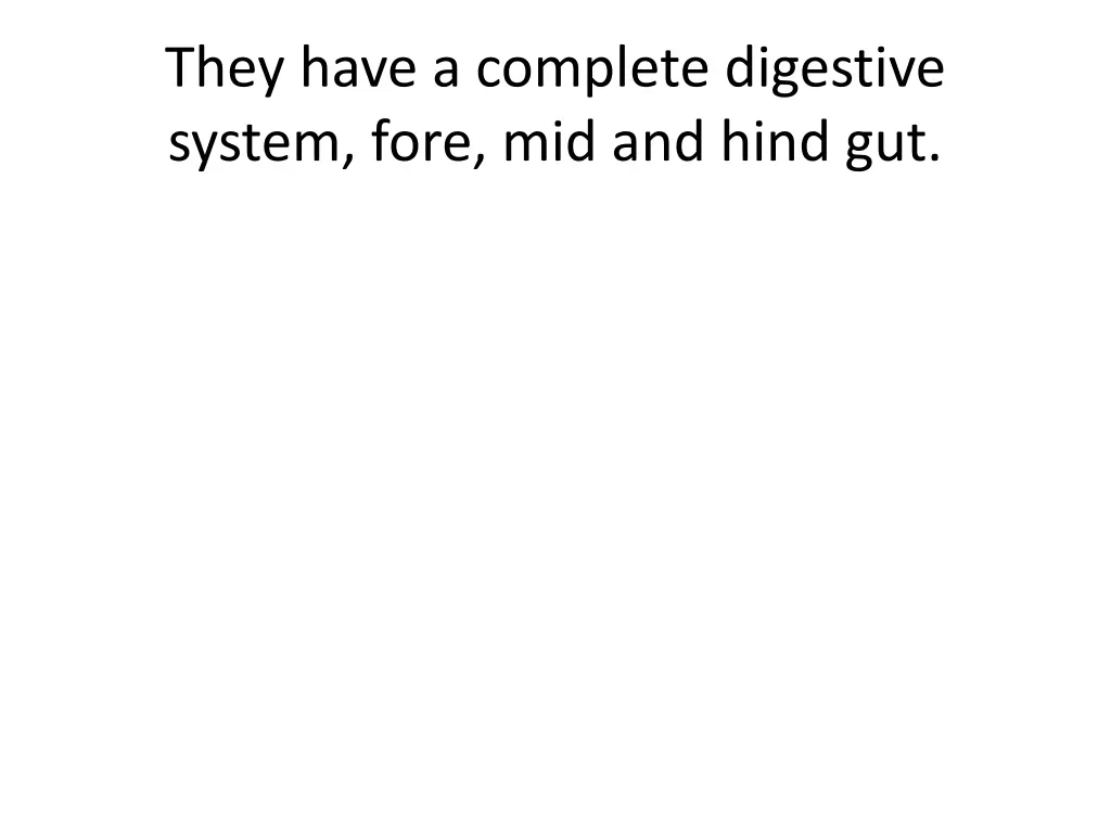 they have a complete digestive system fore