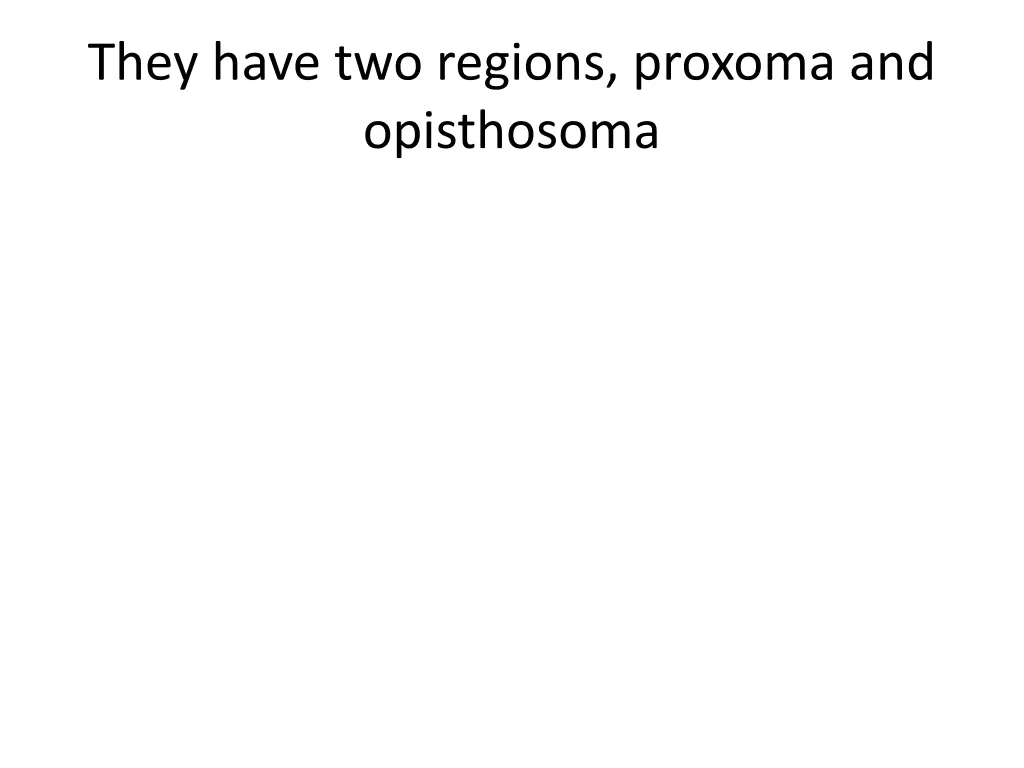 they have two regions proxoma and opisthosoma