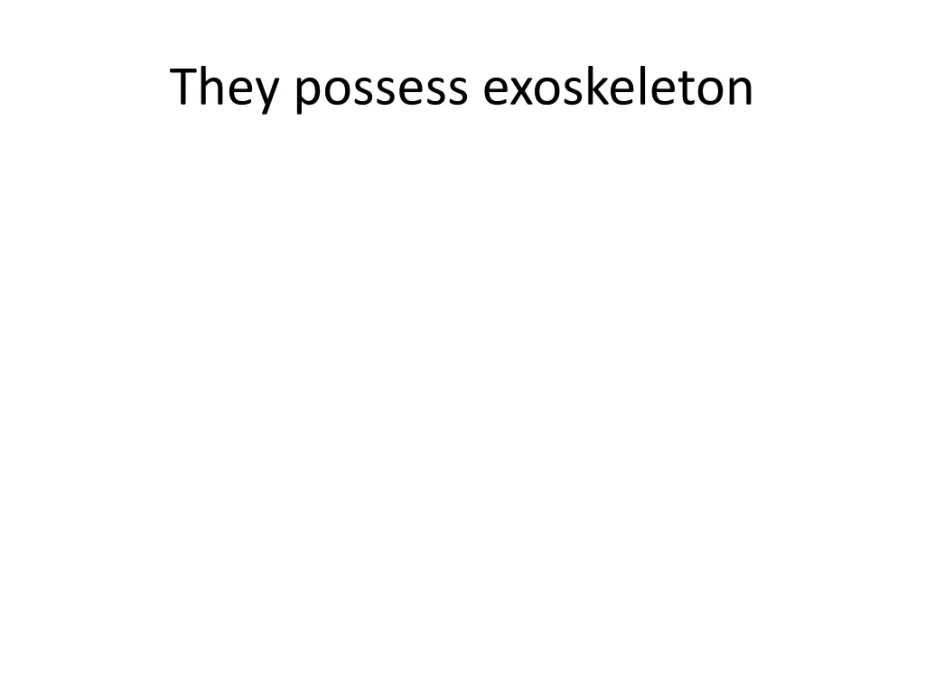 they possess exoskeleton