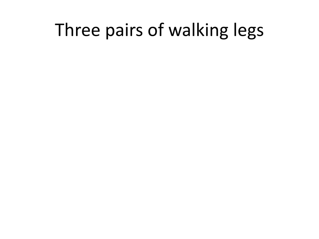 three pairs of walking legs