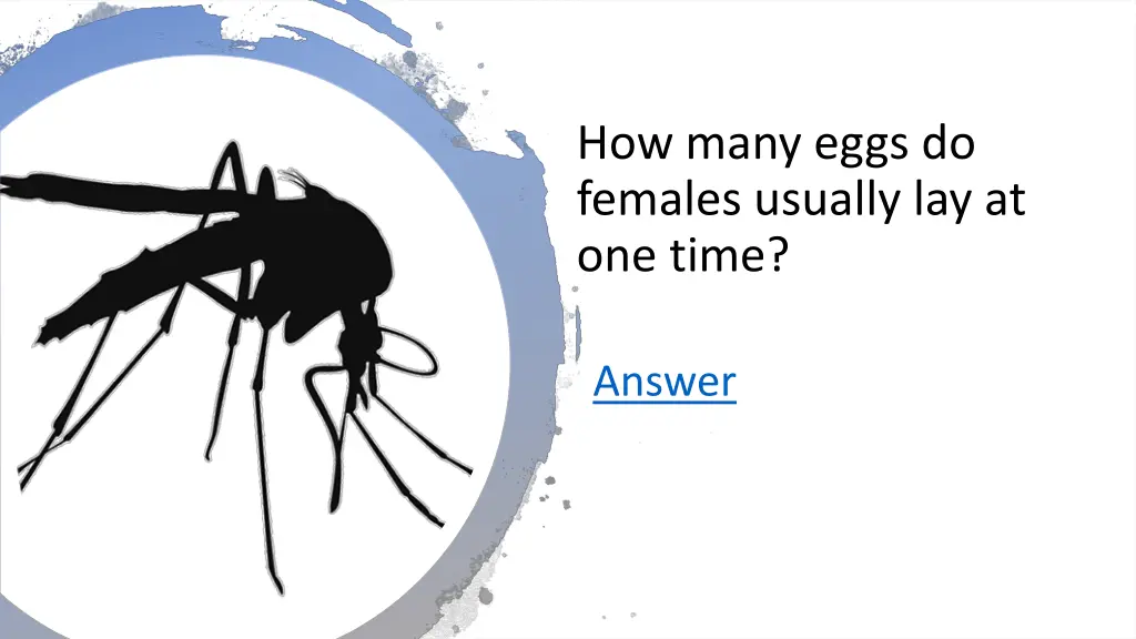 how many eggs do females usually lay at one time