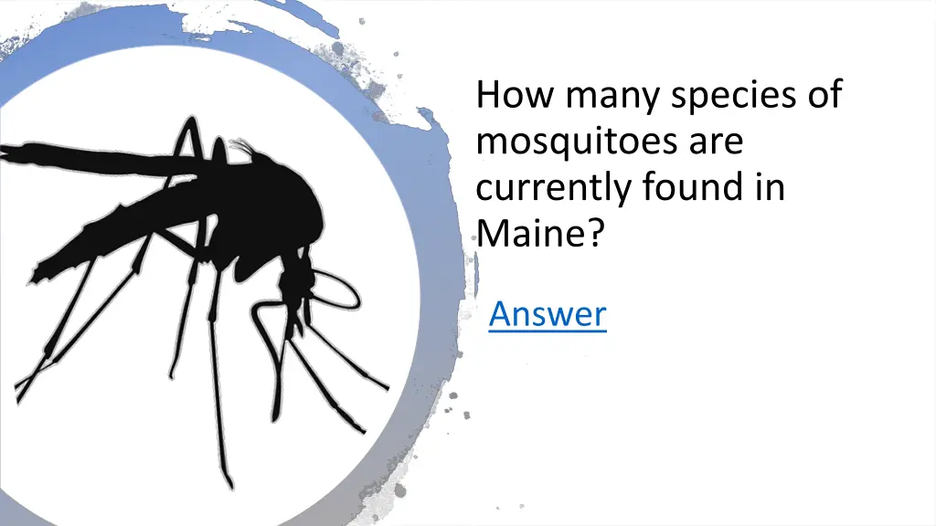 how many species of mosquitoes are currently