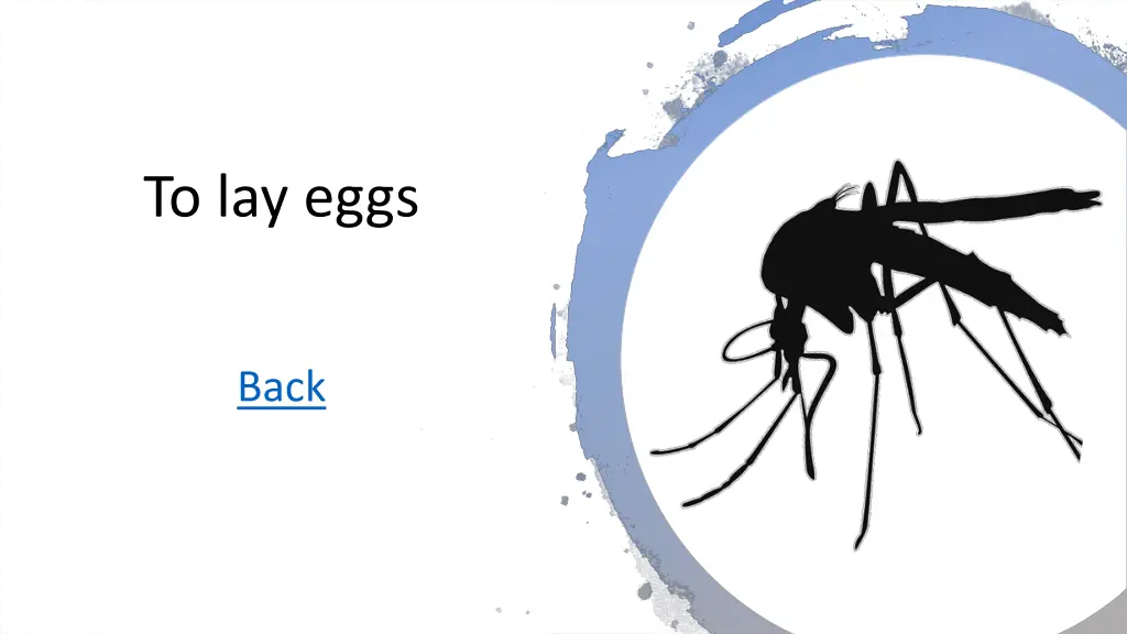 to lay eggs