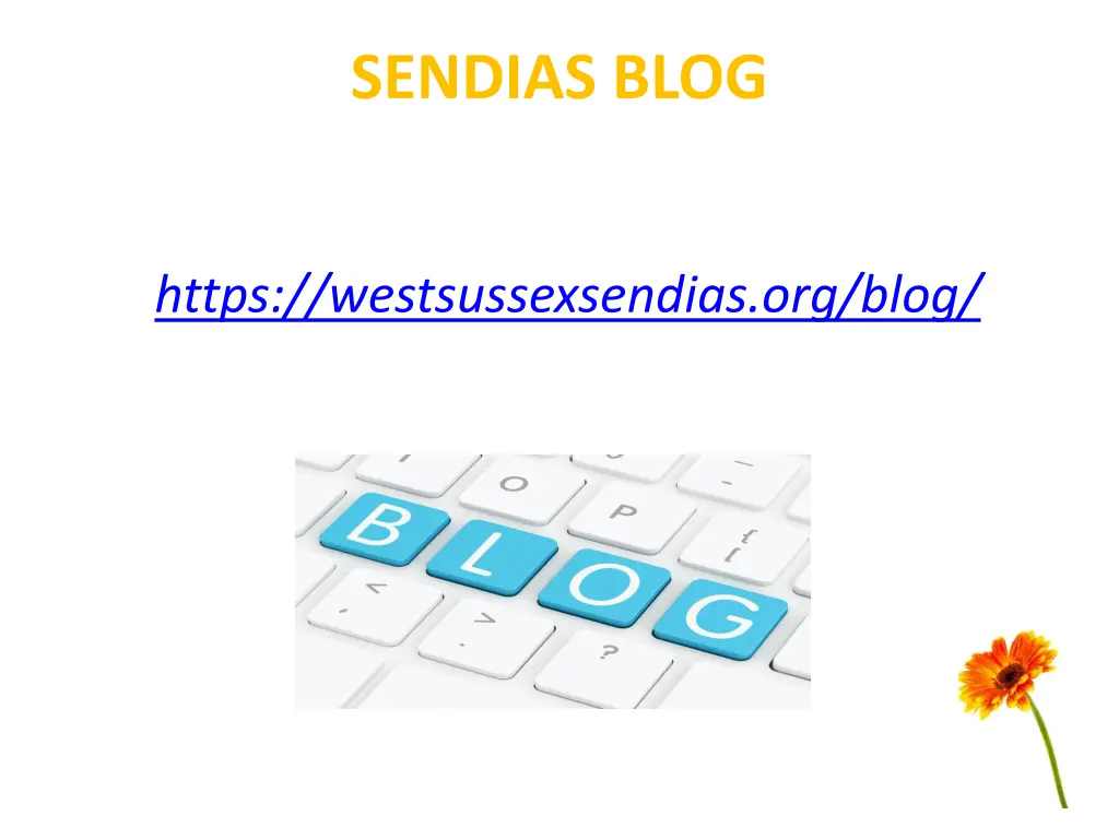 sendias blog