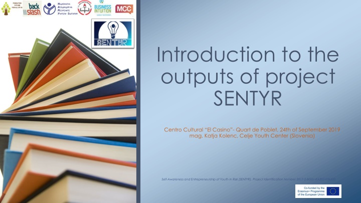 introduction to the outputs of project sentyr