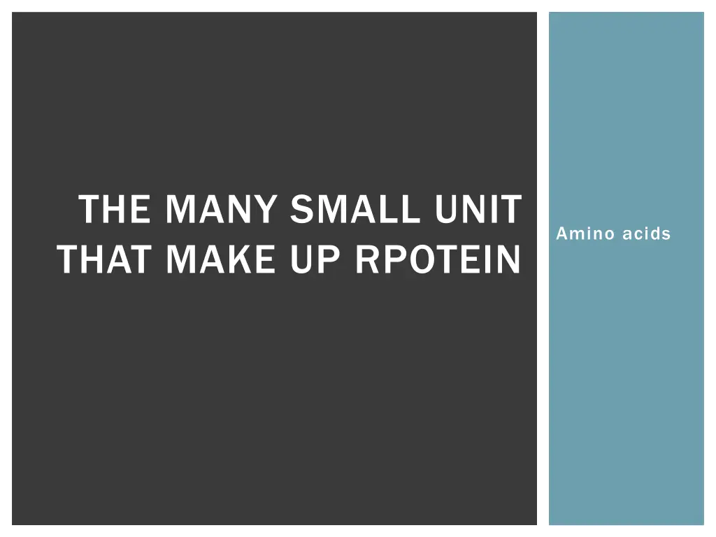 the many small unit that make up rpotein