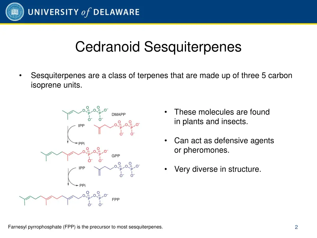 cedranoid sesquiterpenes