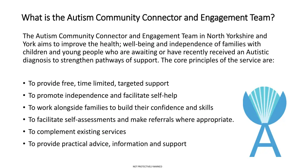what is the autism community connector