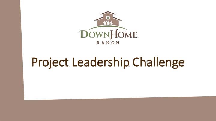 project leadership challenge project leadership