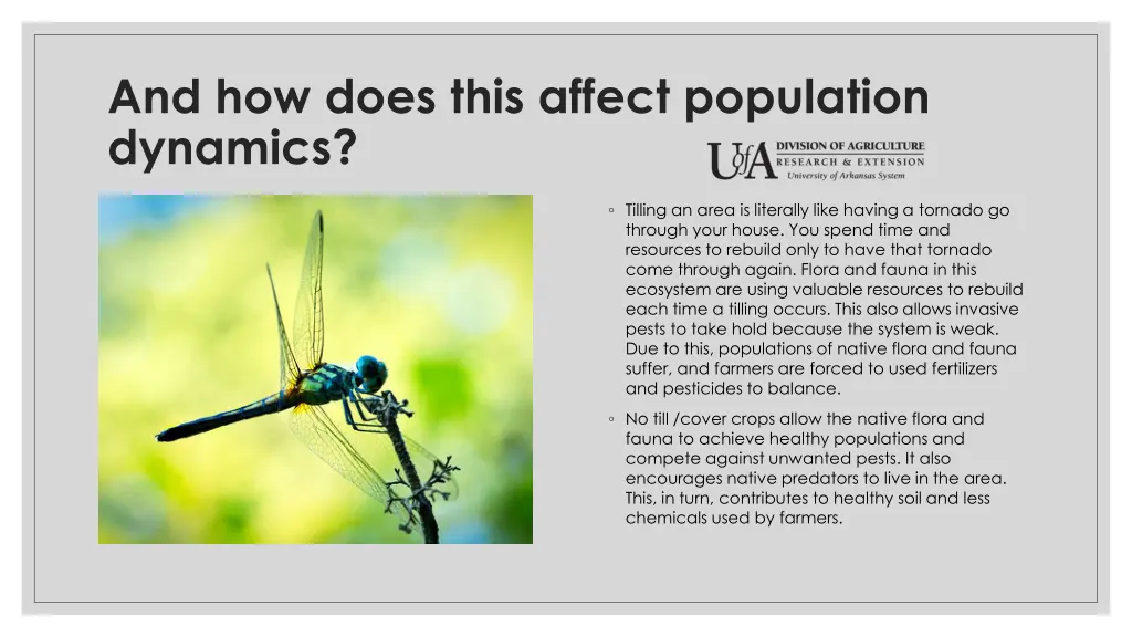 and how does this affect population dynamics