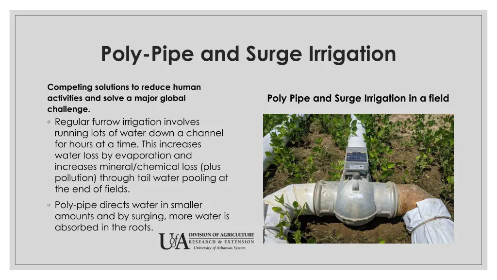 poly pipe and surge irrigation