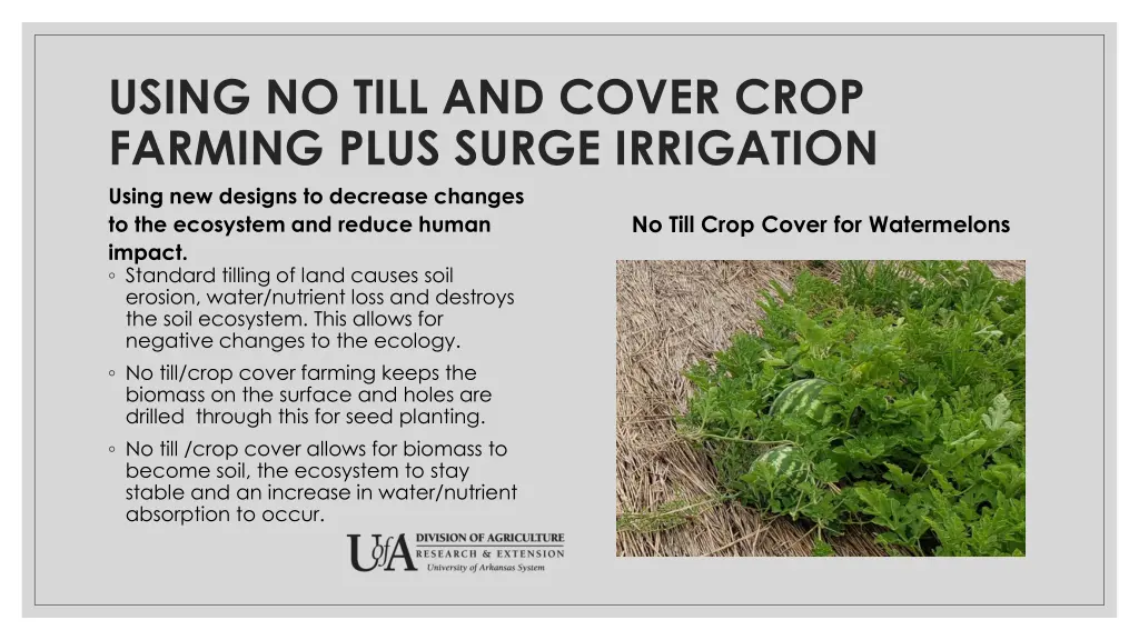 using no till and cover crop farming plus surge