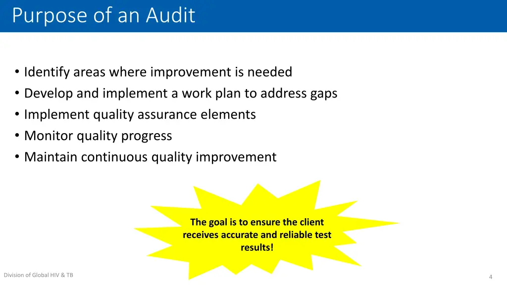 purpose of an audit